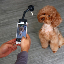 Pet Selfie Stick for Dogs and Cat