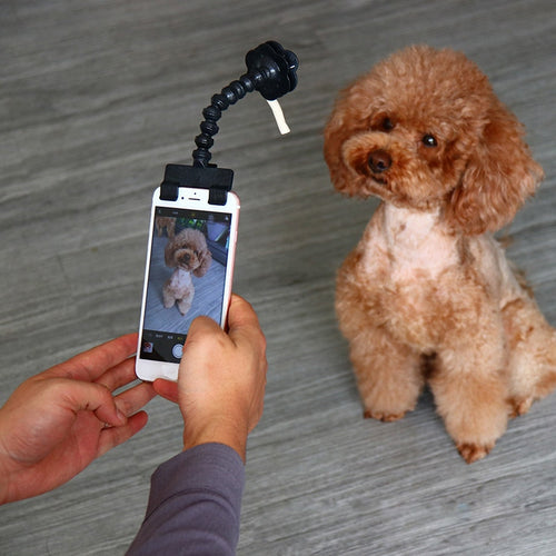 Pet Selfie Stick for Dogs and Cat