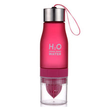 New H2O Water Bottle Infuser