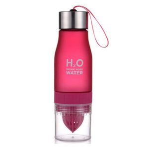 New H2O Water Bottle Infuser