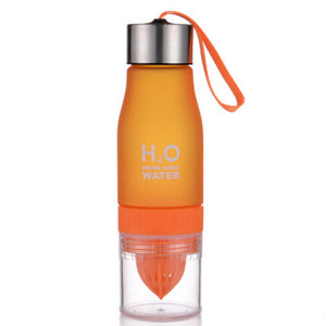 New H2O Water Bottle Infuser